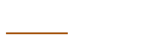 Auto Repair Pros Nederland logo